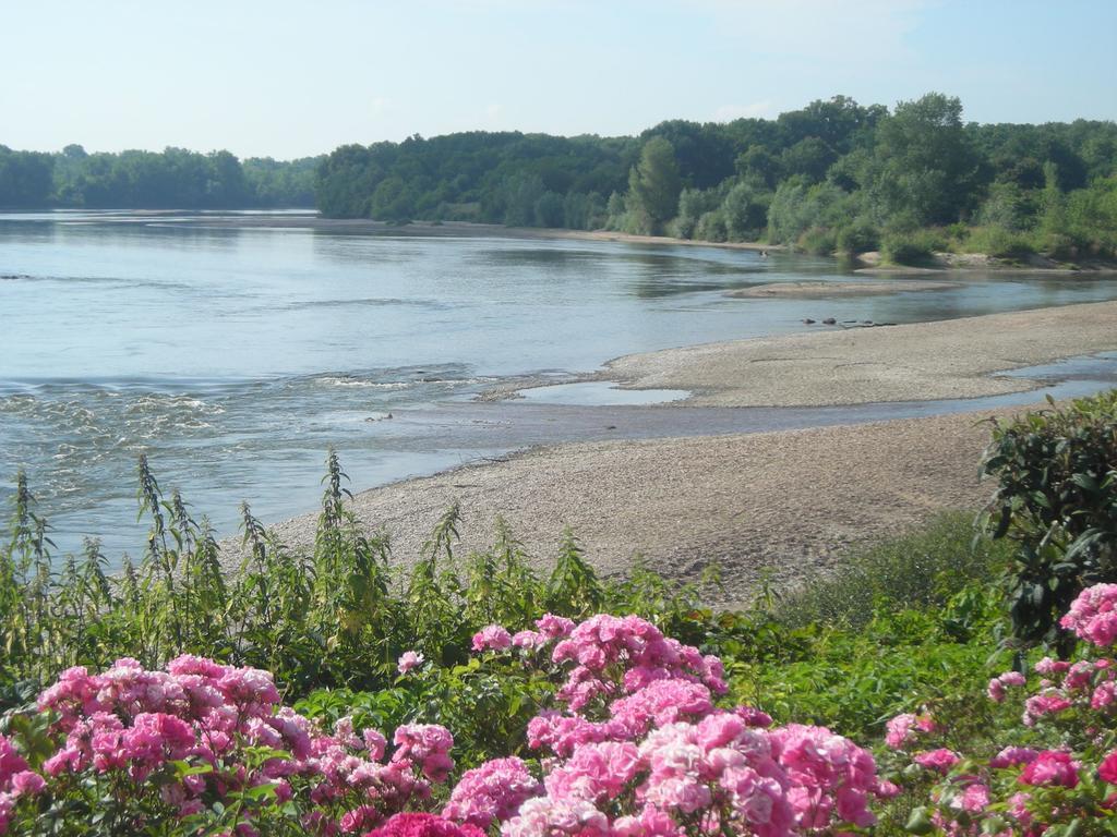 Hotel De La Loire Saint-Satur Luaran gambar